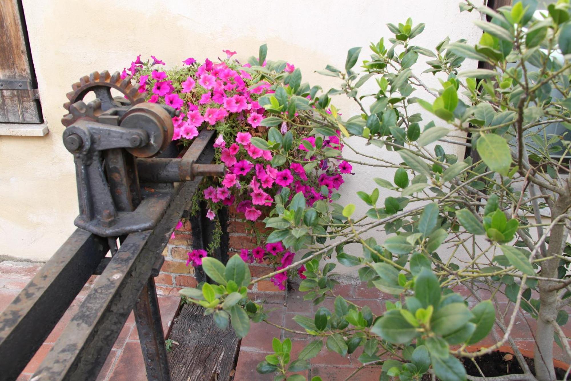 La Vecchia Cartiera Hotel Colle Val D'Elsa Exterior foto